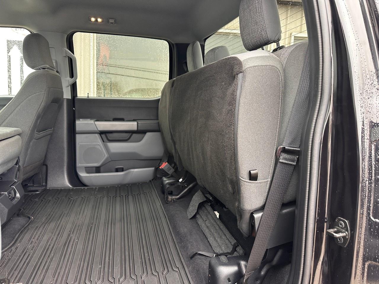 2023 Ford F-150 XLT 4WD SuperCrew 6.5' Box Photo