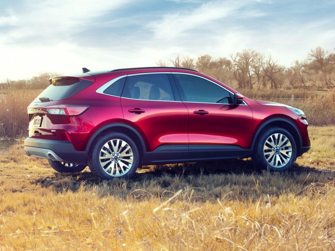 2020 Ford Escape LEATHER! SEL PKG! CERTIFIED Photo3