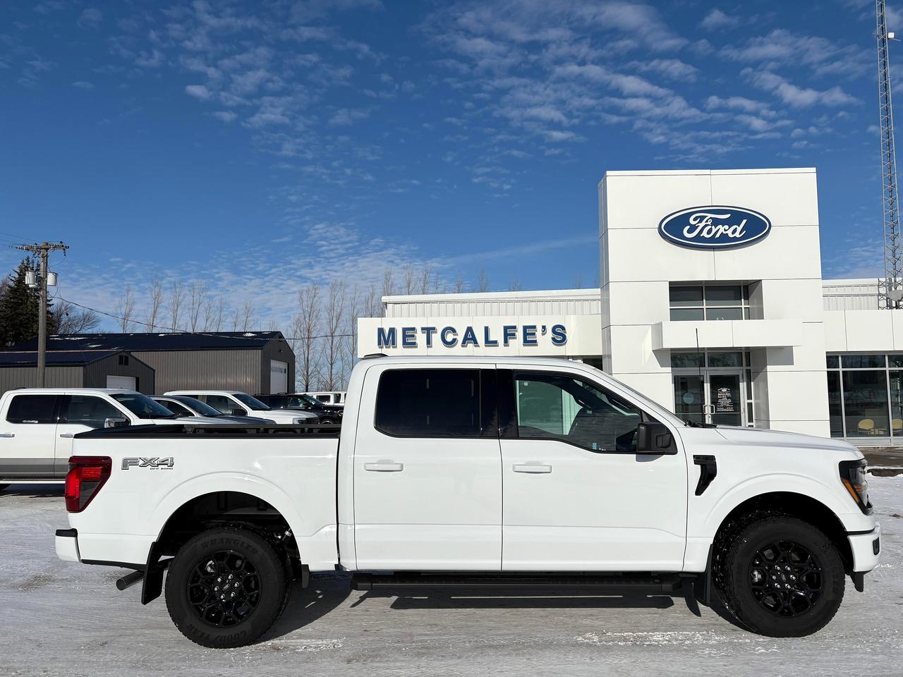 2025 Ford F-150 XLT 4WD SuperCrew 5.5' Box Photo0