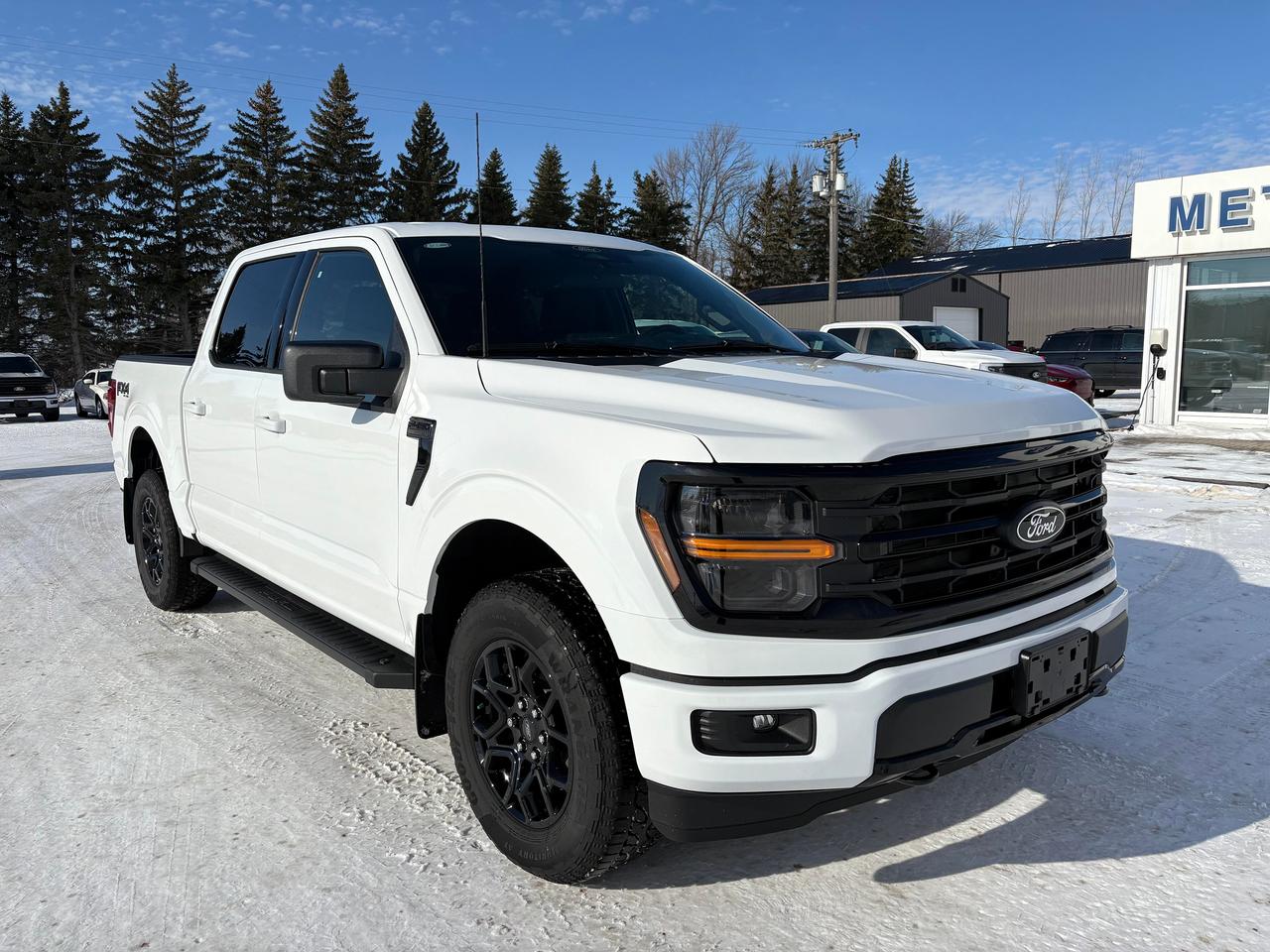 2025 Ford F-150 XLT 4WD SuperCrew 5.5' Box Photo3