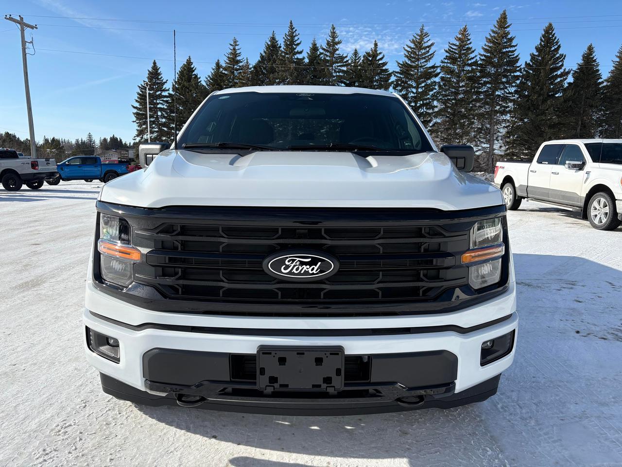 2025 Ford F-150 XLT 4WD SuperCrew 5.5' Box Photo2