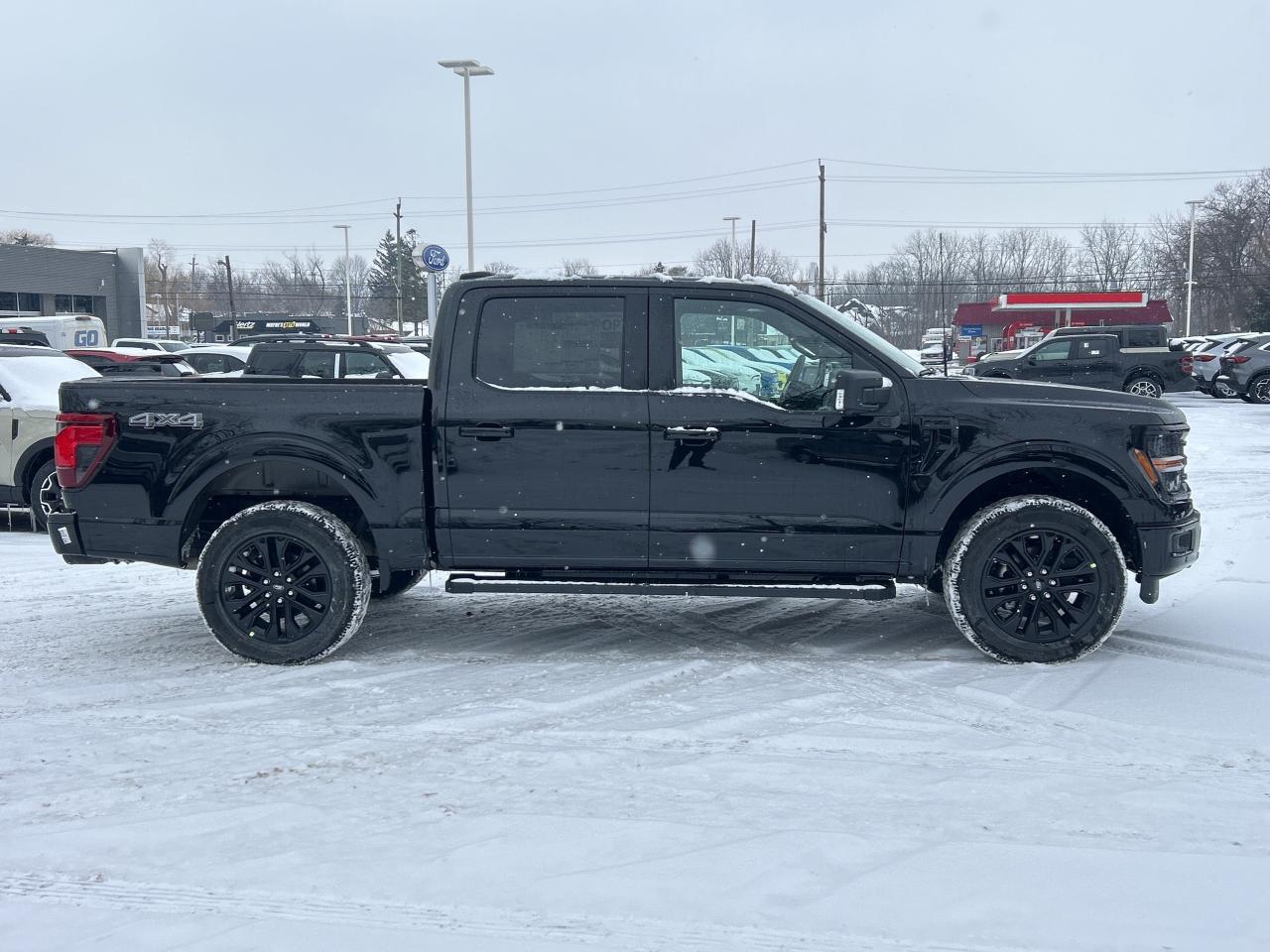 2025 Ford F-150 XLT 4WD SuperCrew 5.5' Box Photo3