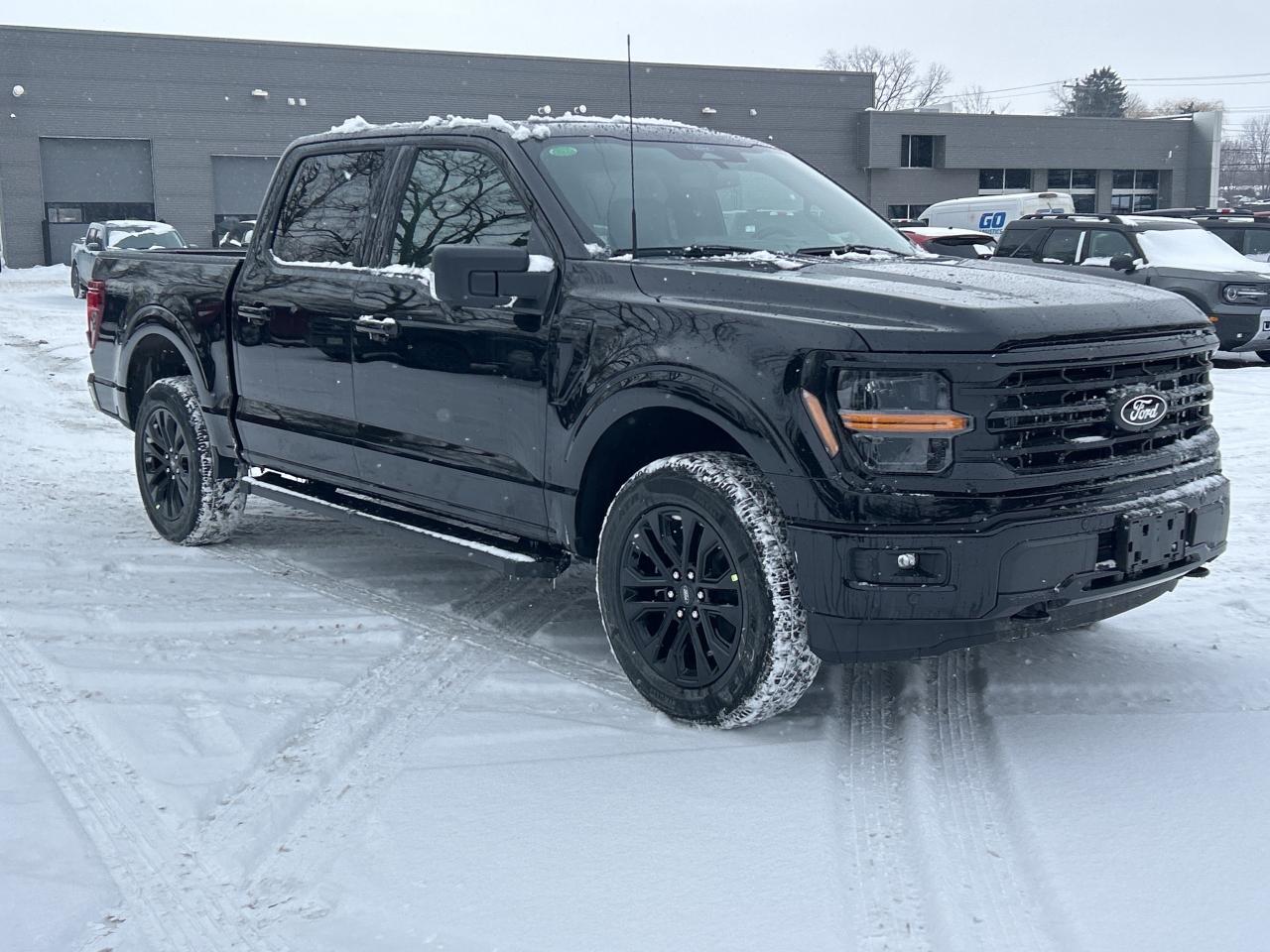 2025 Ford F-150 XLT 4WD SuperCrew 5.5' Box Photo2