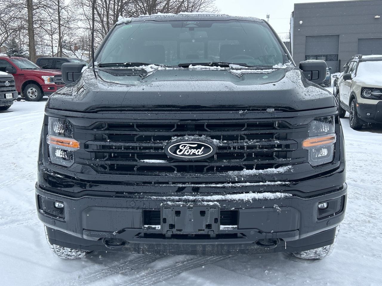 2025 Ford F-150 XLT 4WD SuperCrew 5.5' Box Photo1