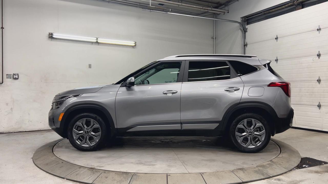 2024 Kia Seltos EX AWD | ONLY 17,000KMS | HTD LEATHER | SUNROOF Photo
