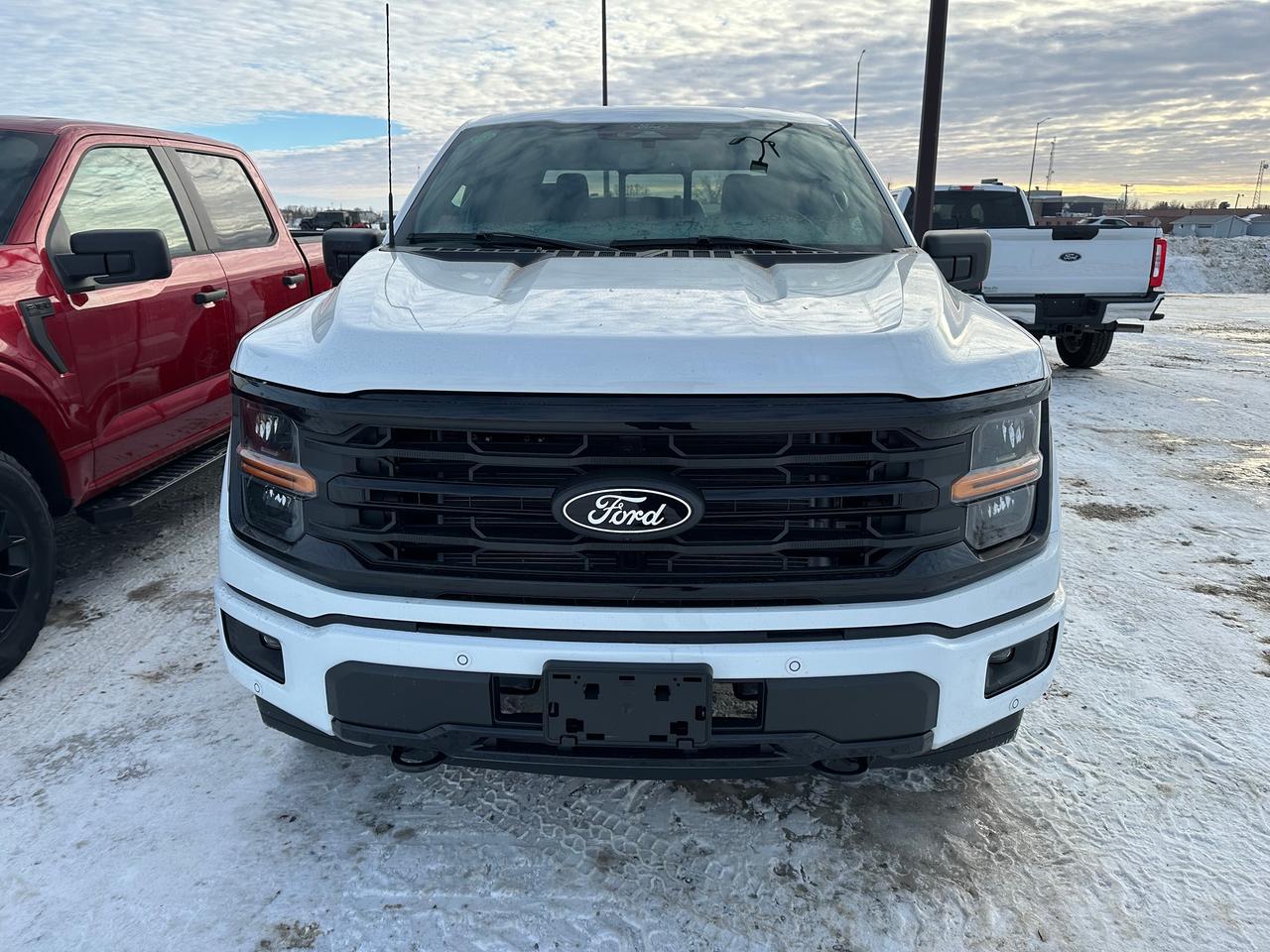 2026 Ford F-150 XLT 4WD SuperCrew 6.5' Box 302A Photo1