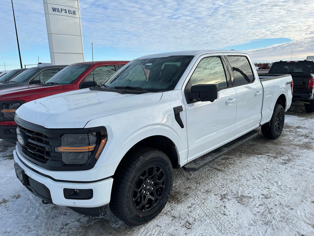 2026 Ford F-150 XLT 4WD SuperCrew 6.5' Box 302A Photo0