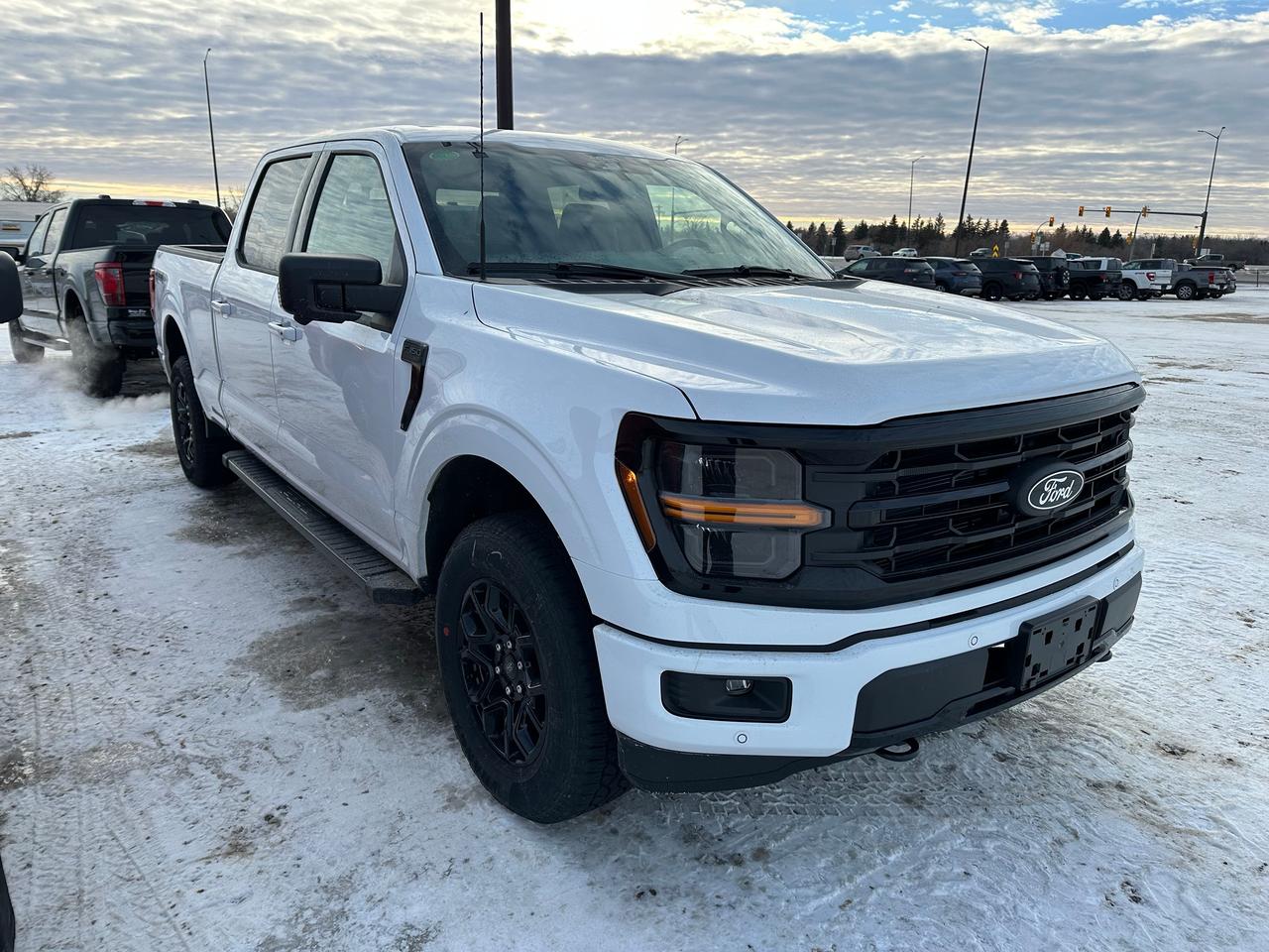 2026 Ford F-150 XLT 4WD SuperCrew 6.5' Box 302A Photo