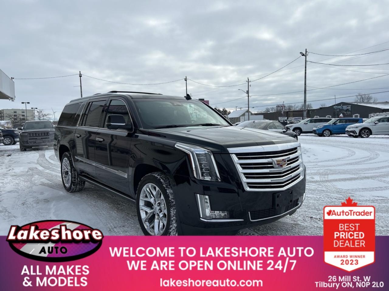 2019 Cadillac Escalade ESV PLATINUM Photo