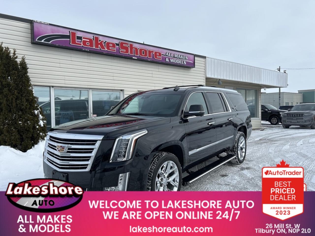 2019 Cadillac Escalade ESV PLATINUM Photo0