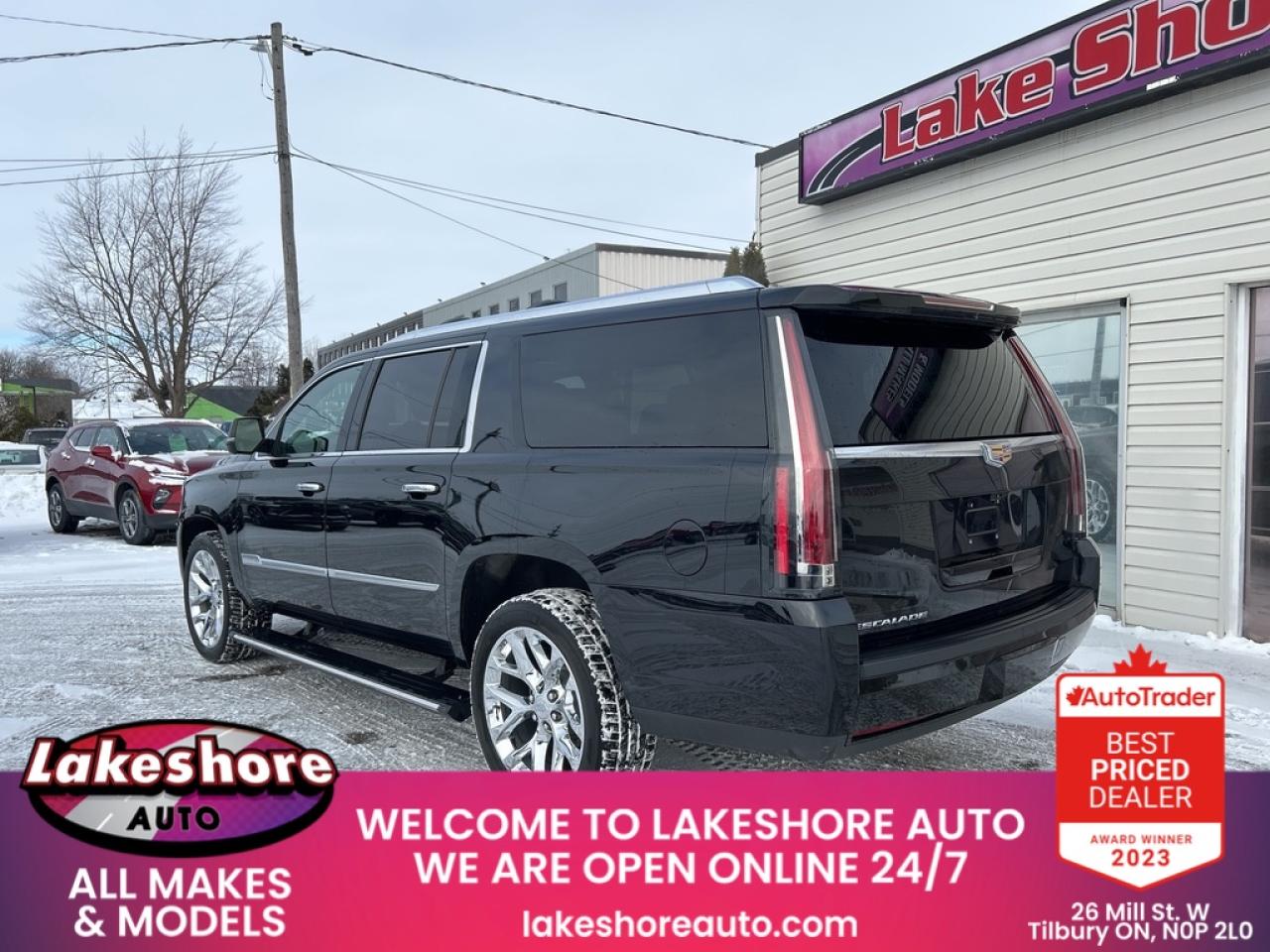 2019 Cadillac Escalade ESV PLATINUM Photo