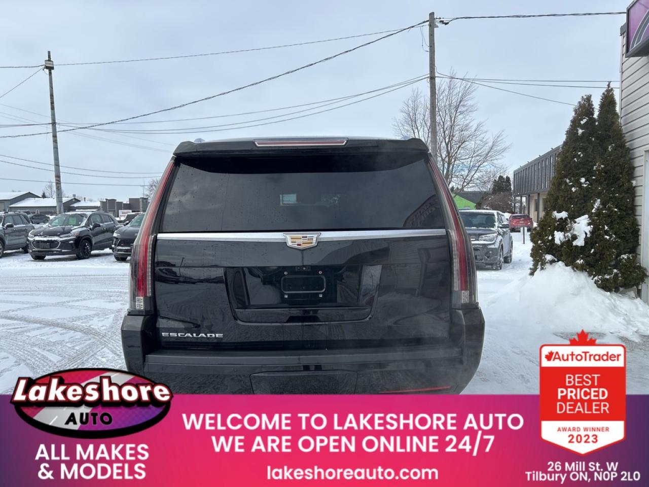 2019 Cadillac Escalade ESV PLATINUM Photo