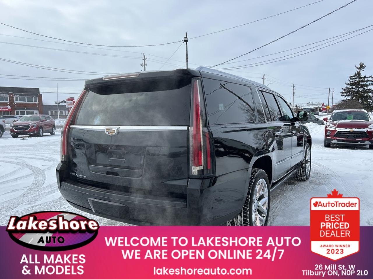 2019 Cadillac Escalade ESV PLATINUM Photo3