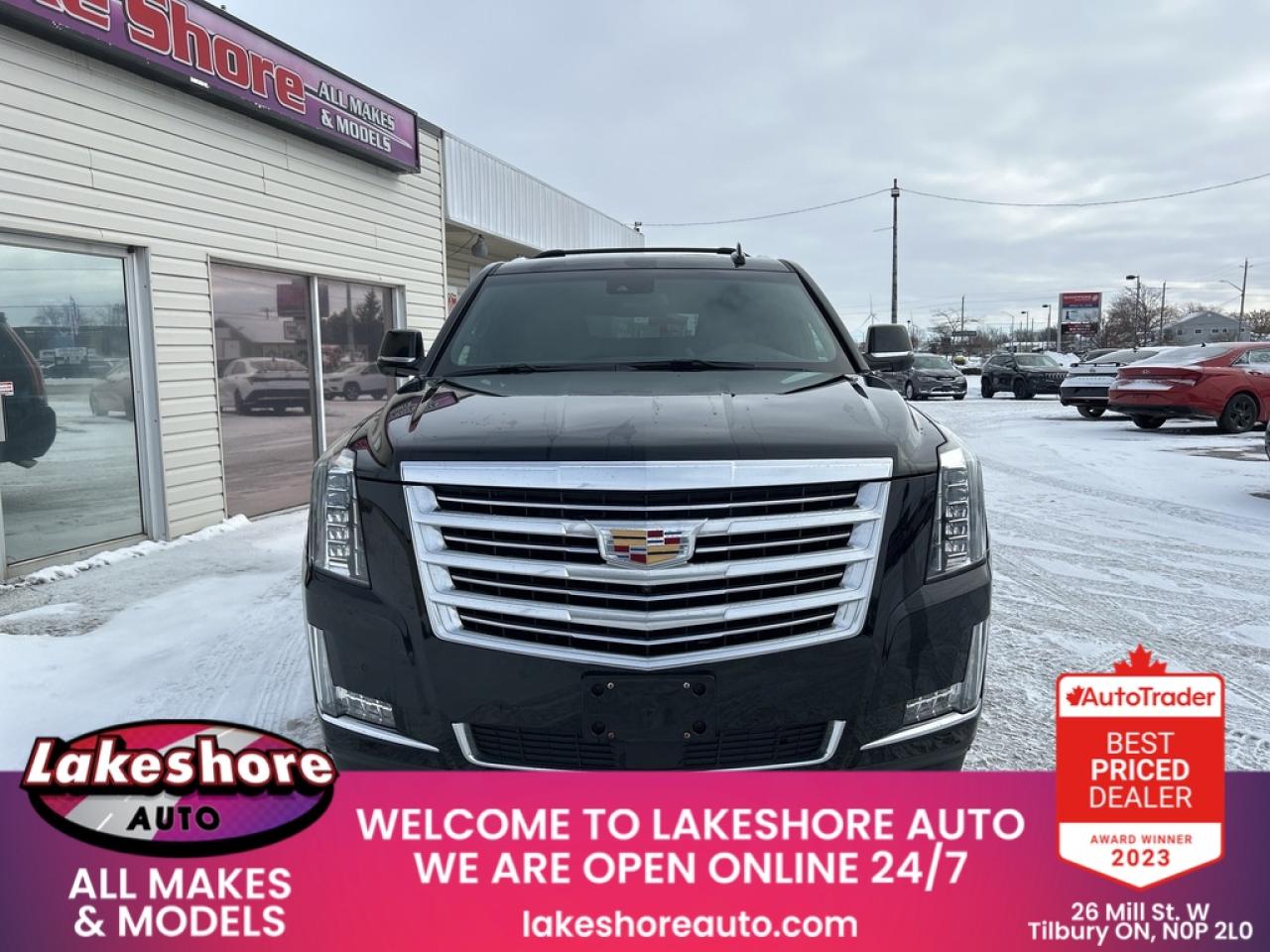 2019 Cadillac Escalade ESV PLATINUM Photo