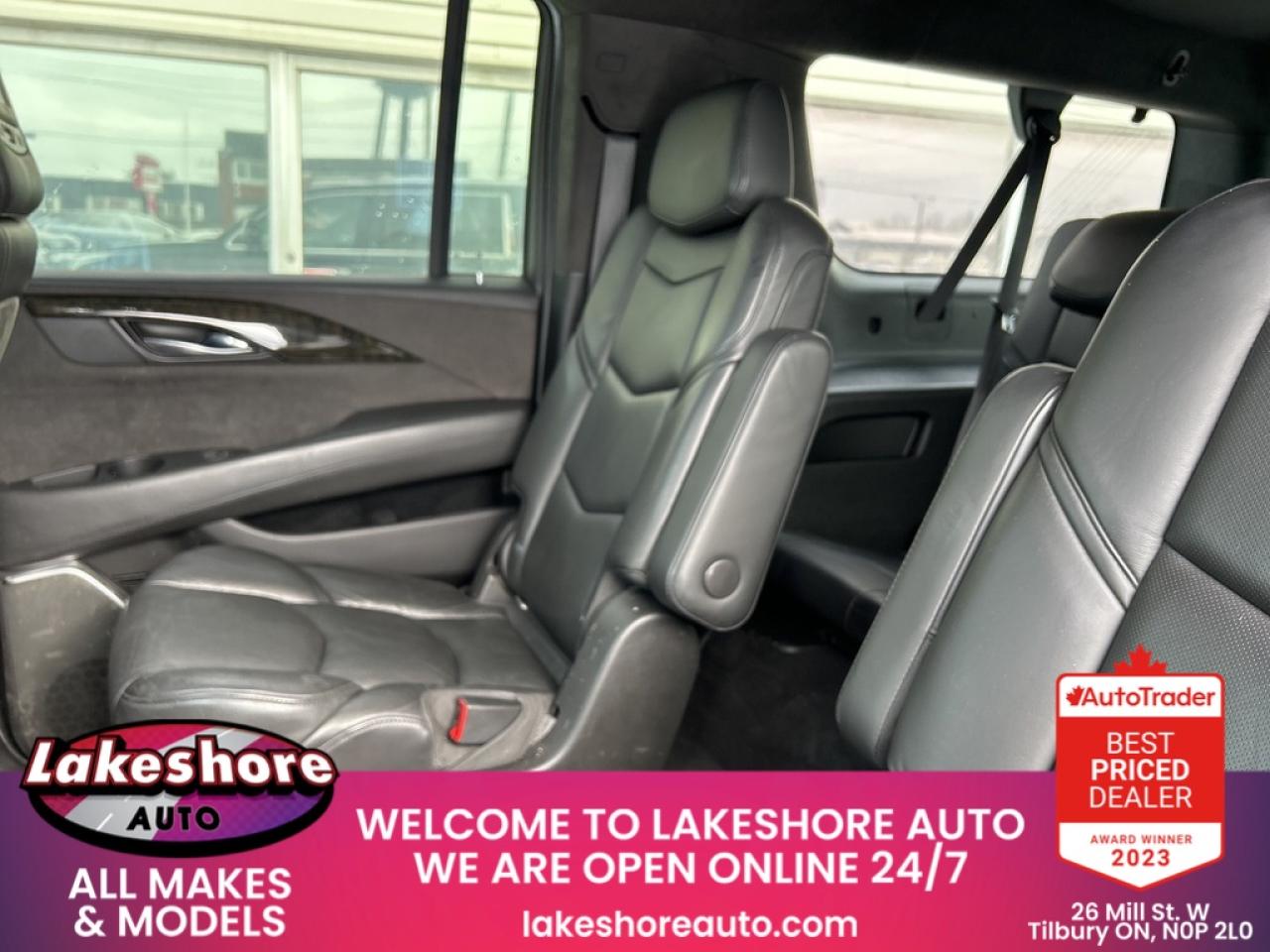 2019 Cadillac Escalade ESV PLATINUM Photo