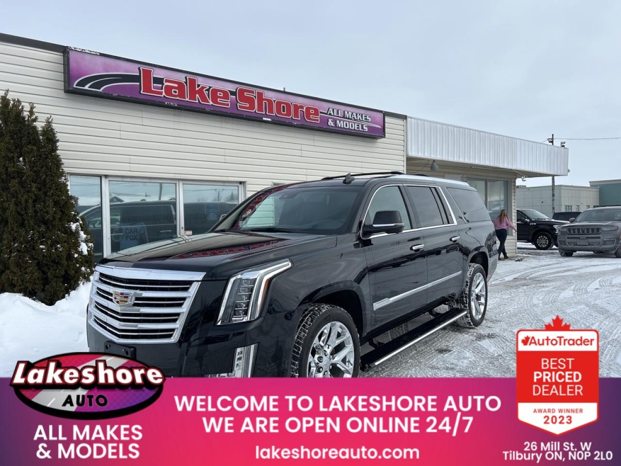 2019 Cadillac Escalade ESV PLATINUM Photo