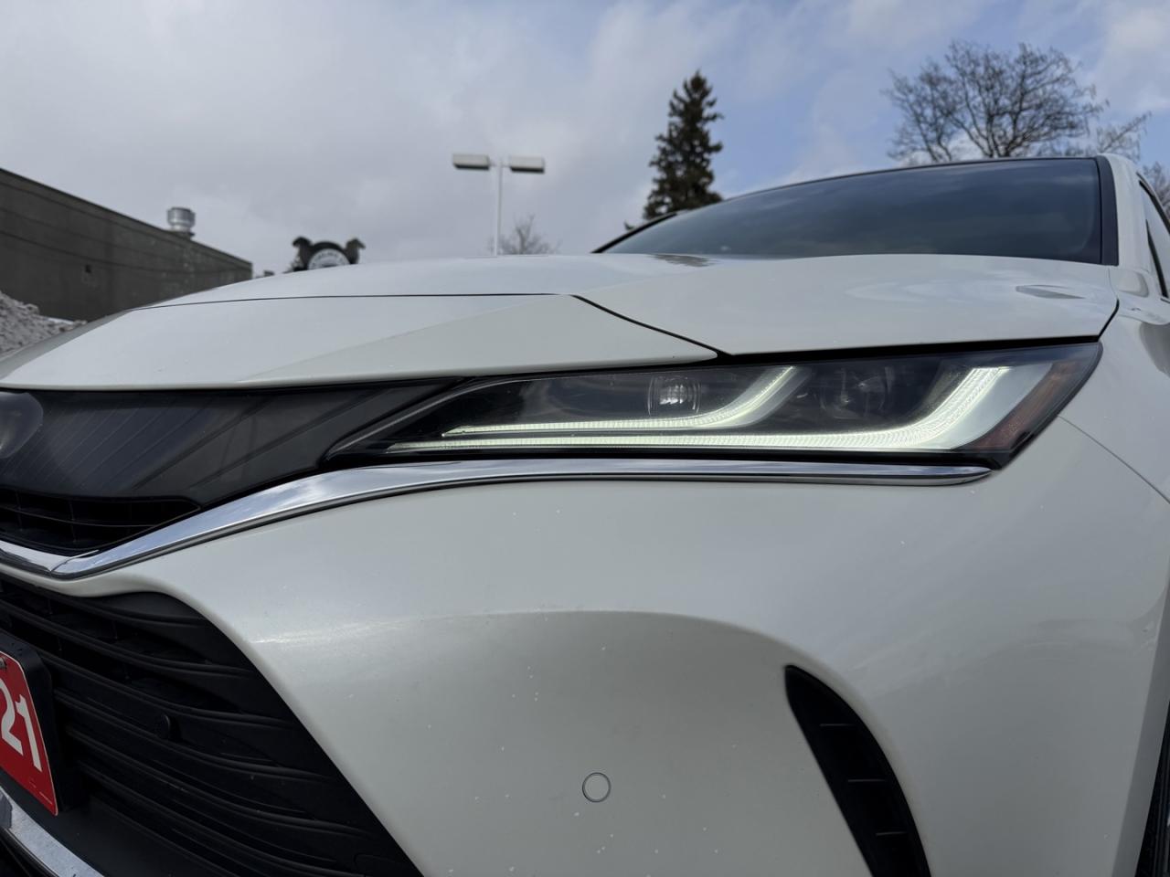 2021 Toyota Venza LIMITED AWD Photo