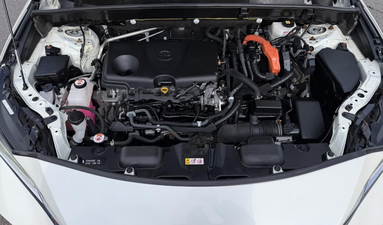 2021 Toyota Venza LIMITED AWD Photo