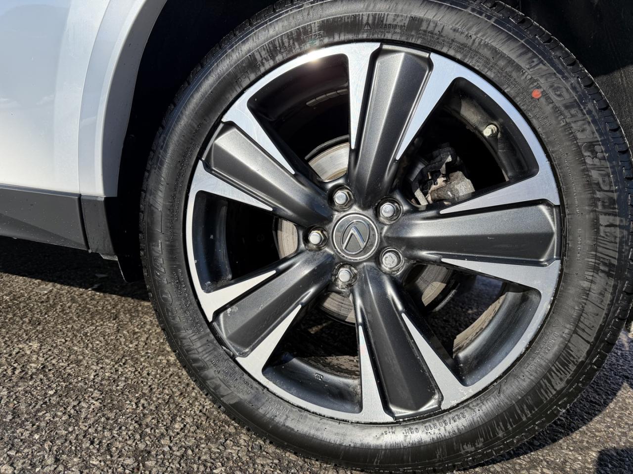 2024 Lexus UX 250H Premium AWD Photo