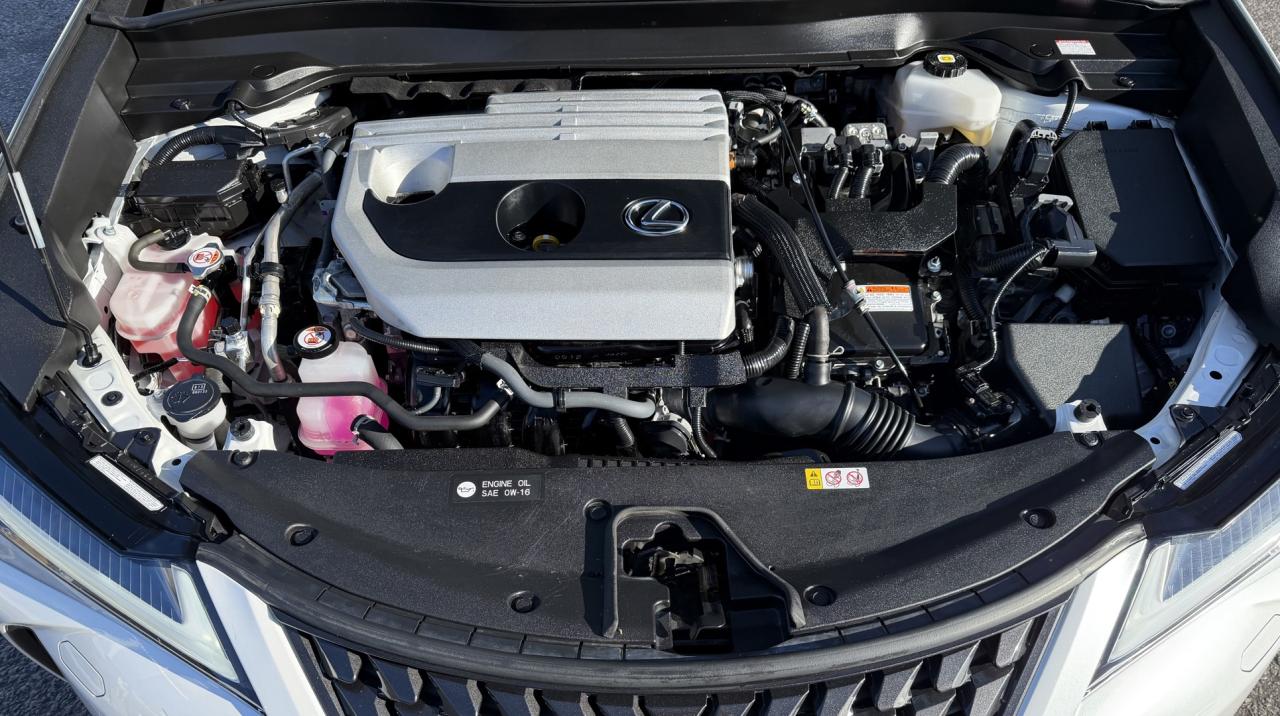 2024 Lexus UX 250H Premium AWD Photo