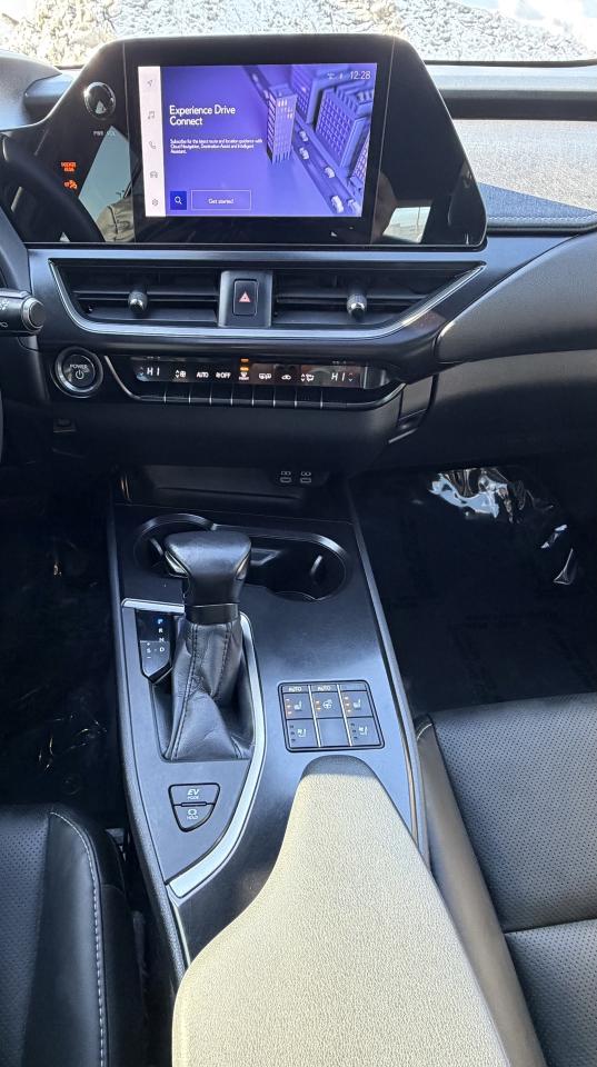 2024 Lexus UX 250H Premium AWD Photo