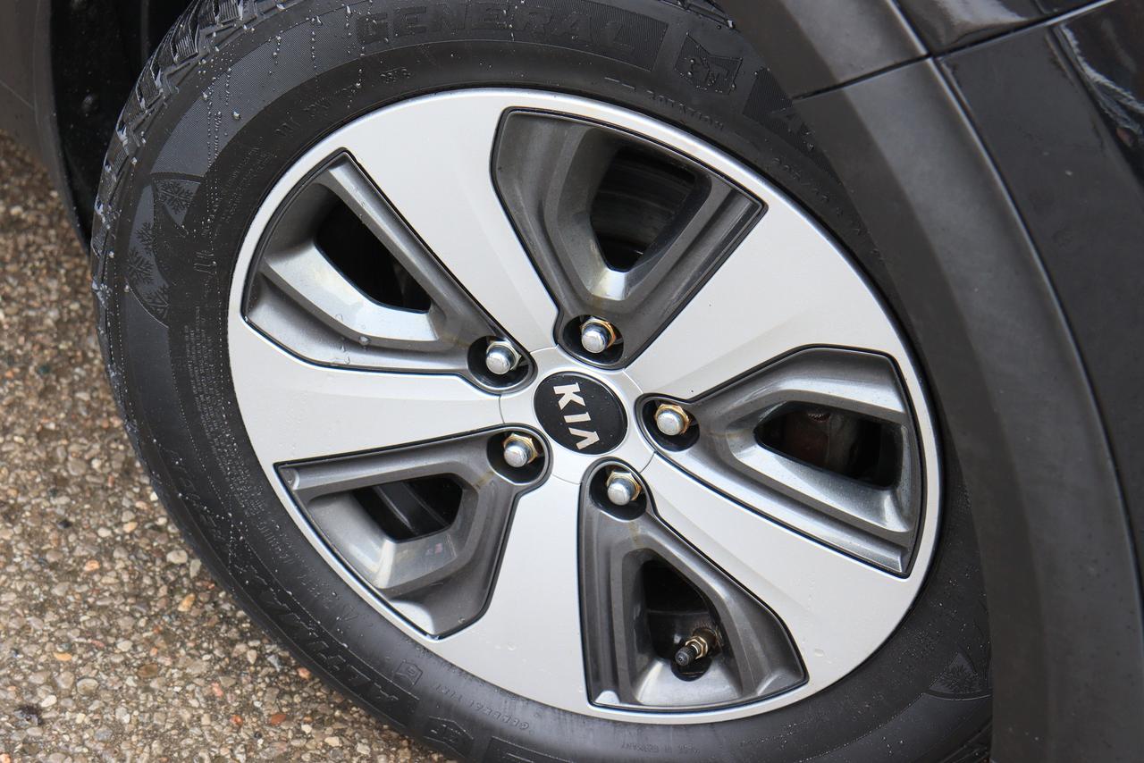 2018 Kia NIRO EX Premium | Hybrid | CarPlay | Roof | BSM | Tints Photo