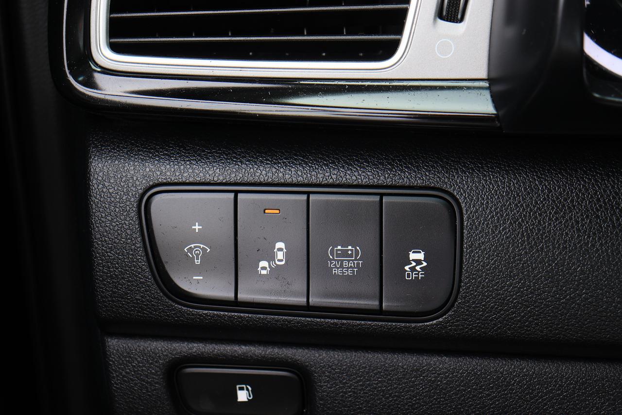 2018 Kia NIRO EX Premium | Hybrid | CarPlay | Roof | BSM | Tints Photo