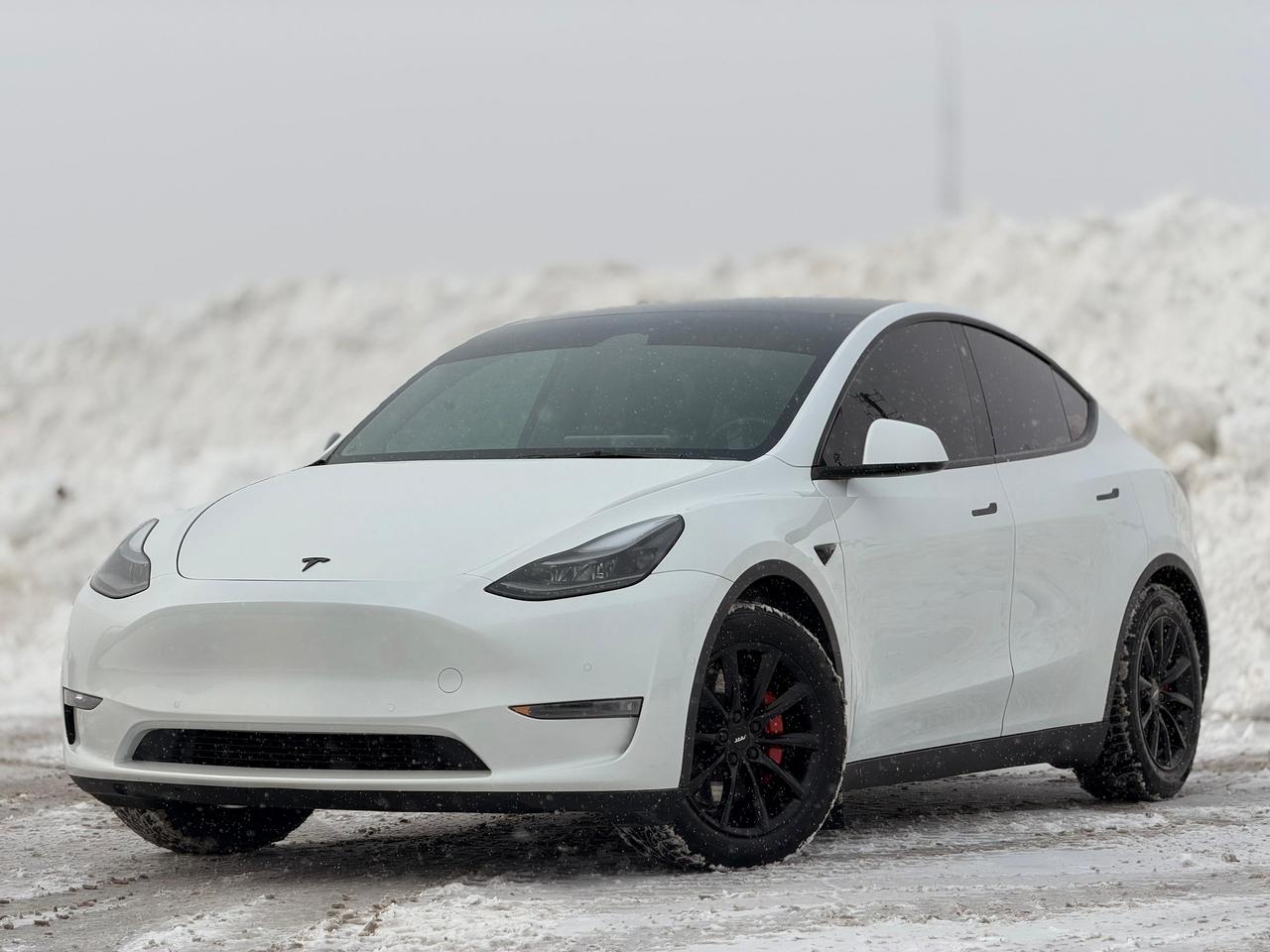 2025 Tesla Model Y Long Range | ONE OWNER| NO ACCIDENTS| - Photo #1
