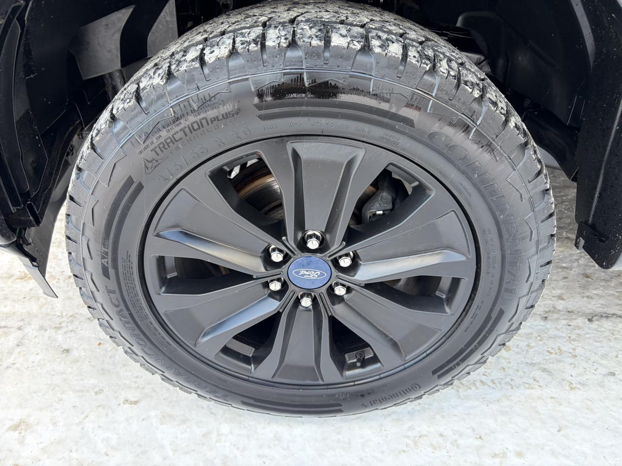 2019 Ford F-150 XLT Photo