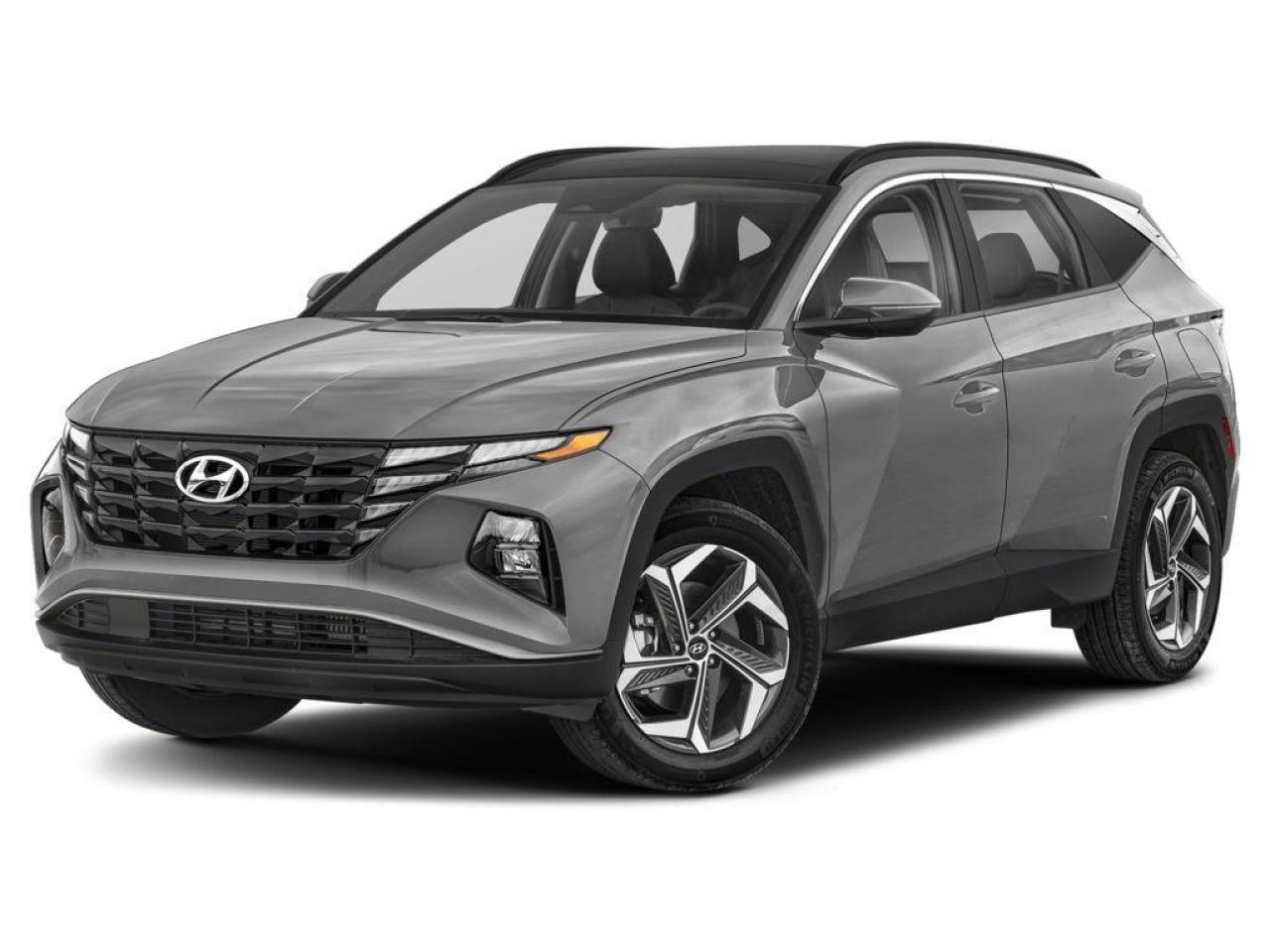 2024 Hyundai Tucson Hybrid Luxury Photo