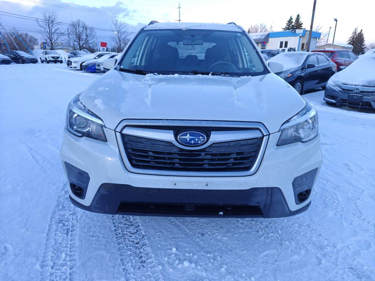 2019 Subaru Forester 2.5i (CVT) 4dr All-Wheel Drive Photo