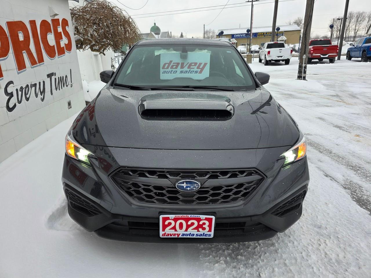 2023 Subaru WRX Base (M6) 4dr All-Wheel Drive Sedan Photo