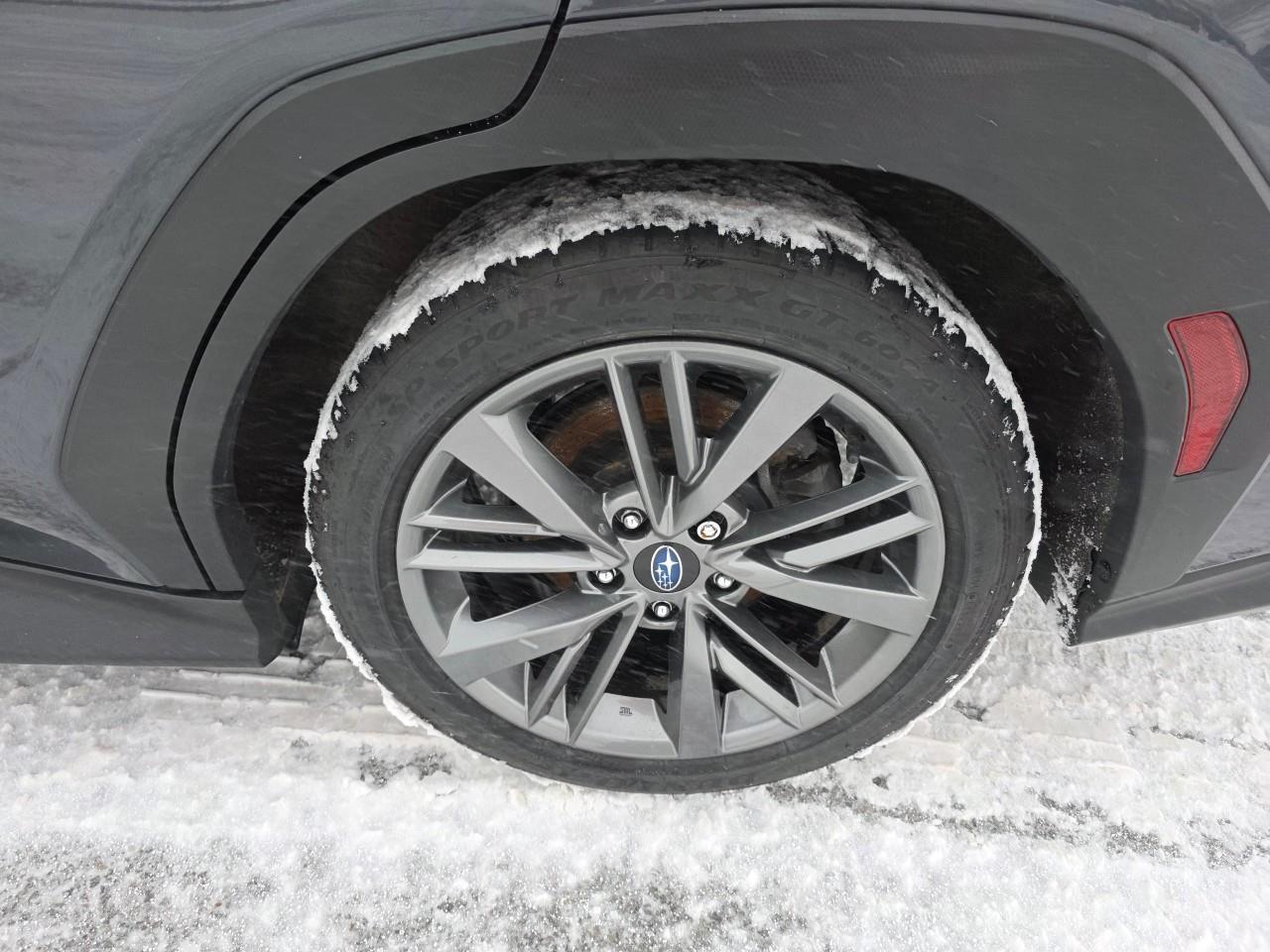 2023 Subaru WRX Base (M6) 4dr All-Wheel Drive Sedan Photo