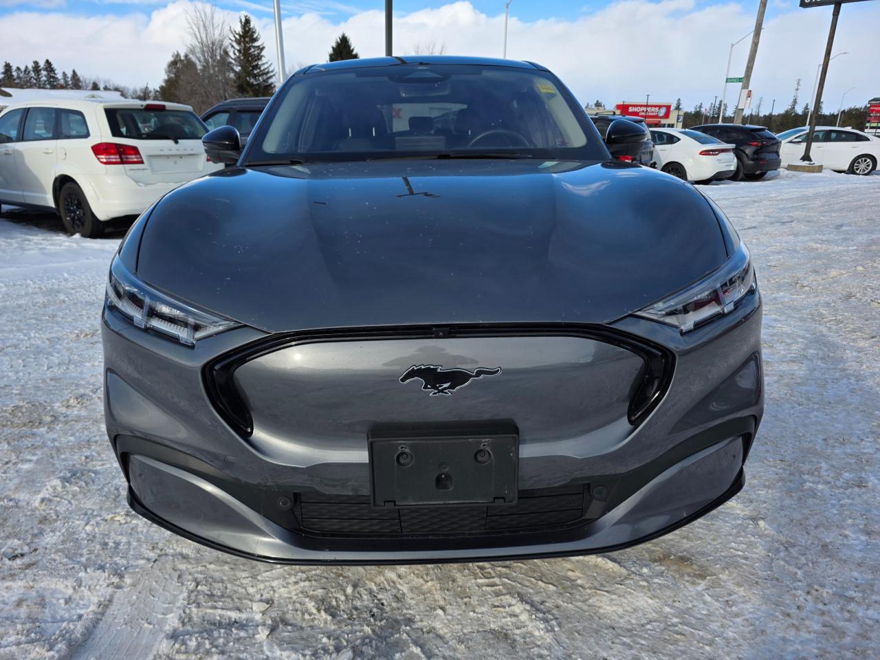 2021 Ford Mustang Mach-E Premium 4dr All-Wheel Drive Photo