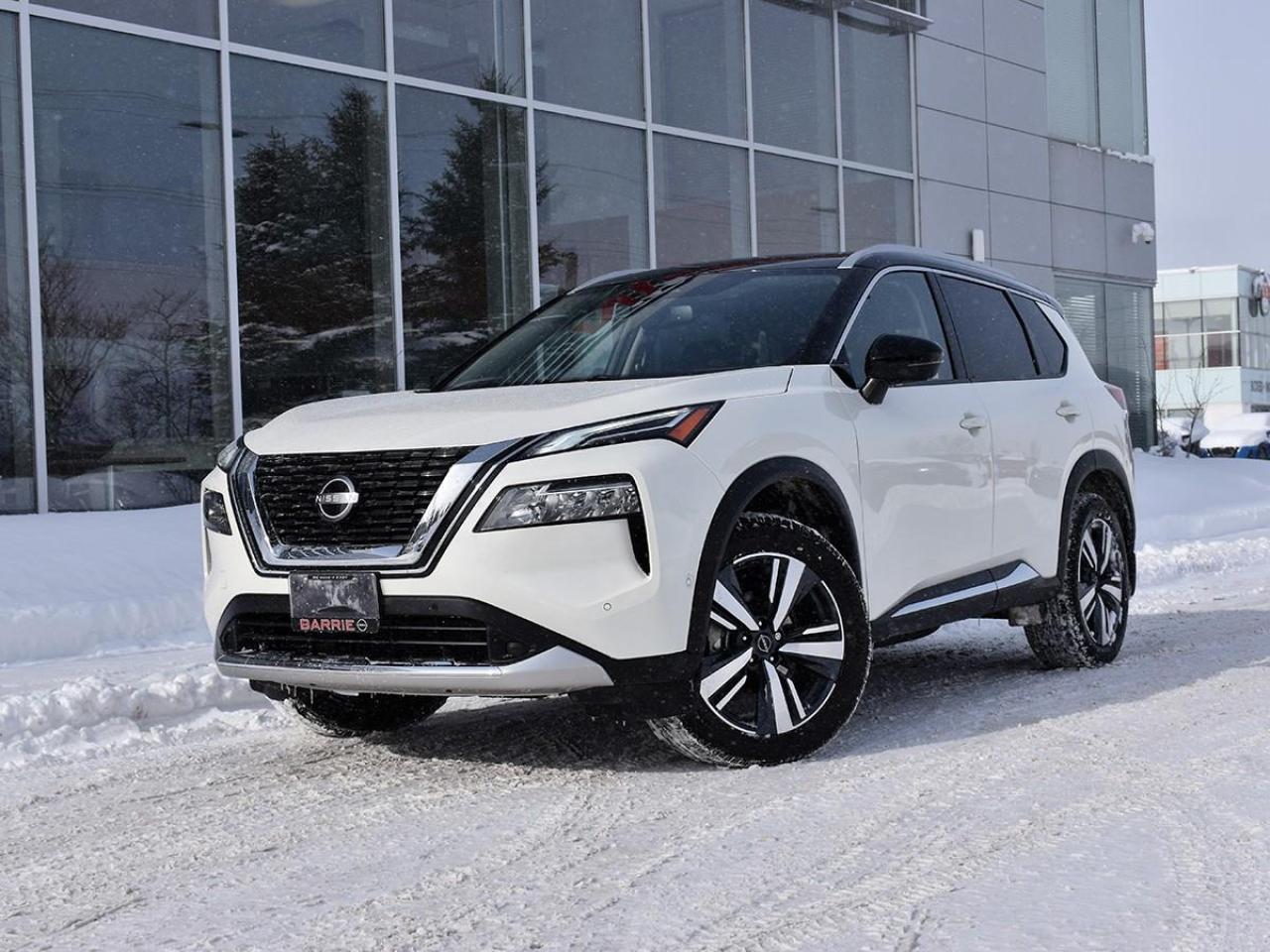 2023 Nissan Rogue Platinum 4dr All-Wheel Drive Sport Utility Photo0