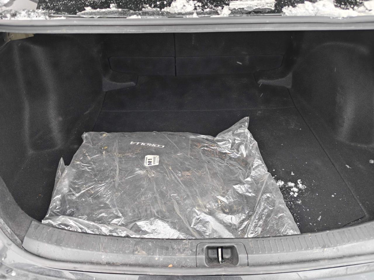 2020 Toyota Corolla SE (M6) 4dr Sedan Photo