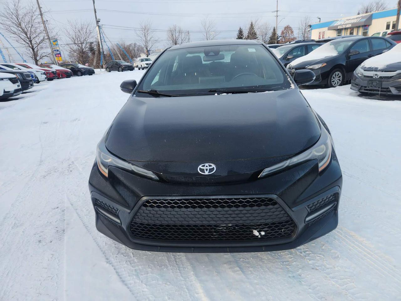 2020 Toyota Corolla SE (M6) 4dr Sedan Photo2