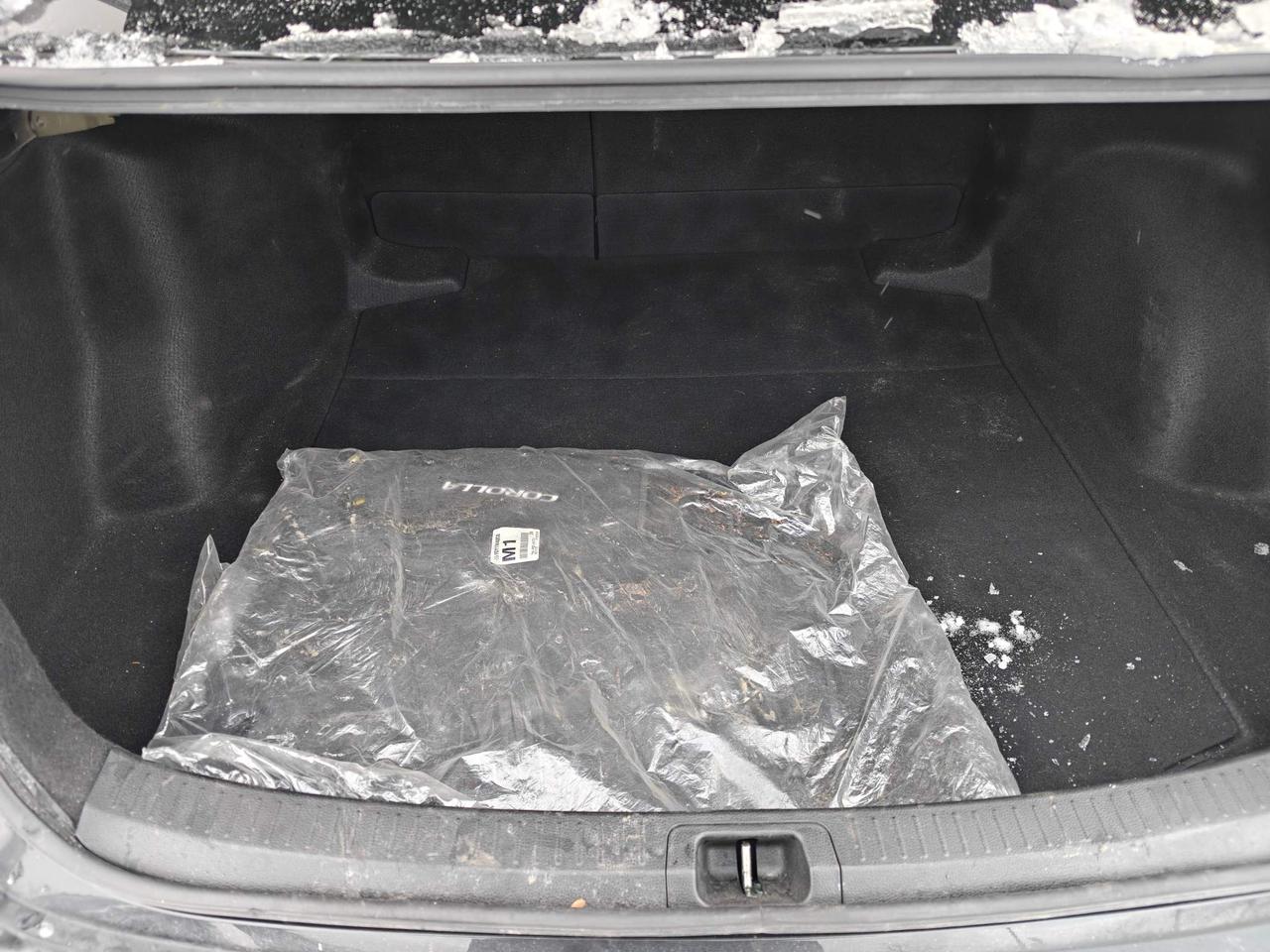 2020 Toyota Corolla SE (M6) 4dr Sedan Photo