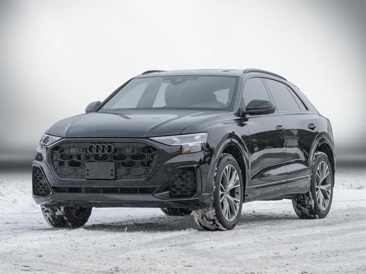 2024 Audi Q8 55 Progressiv 4dr All-Wheel Drive quattro Sport Utility Photo0