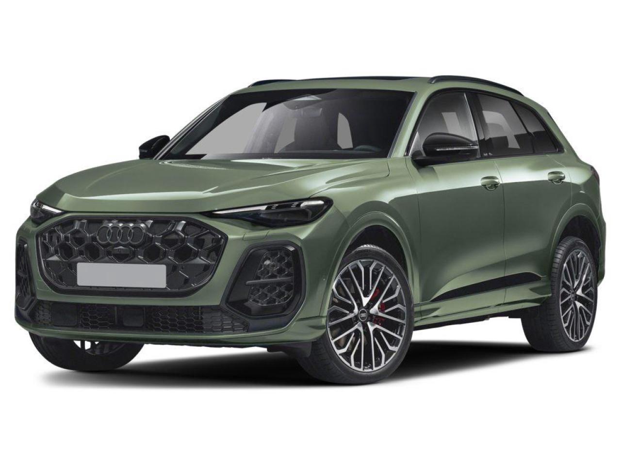 2025 Audi New SQ5 3.0T Progressiv 4dr All-Wheel Drive quattro Sport Utility Photo0