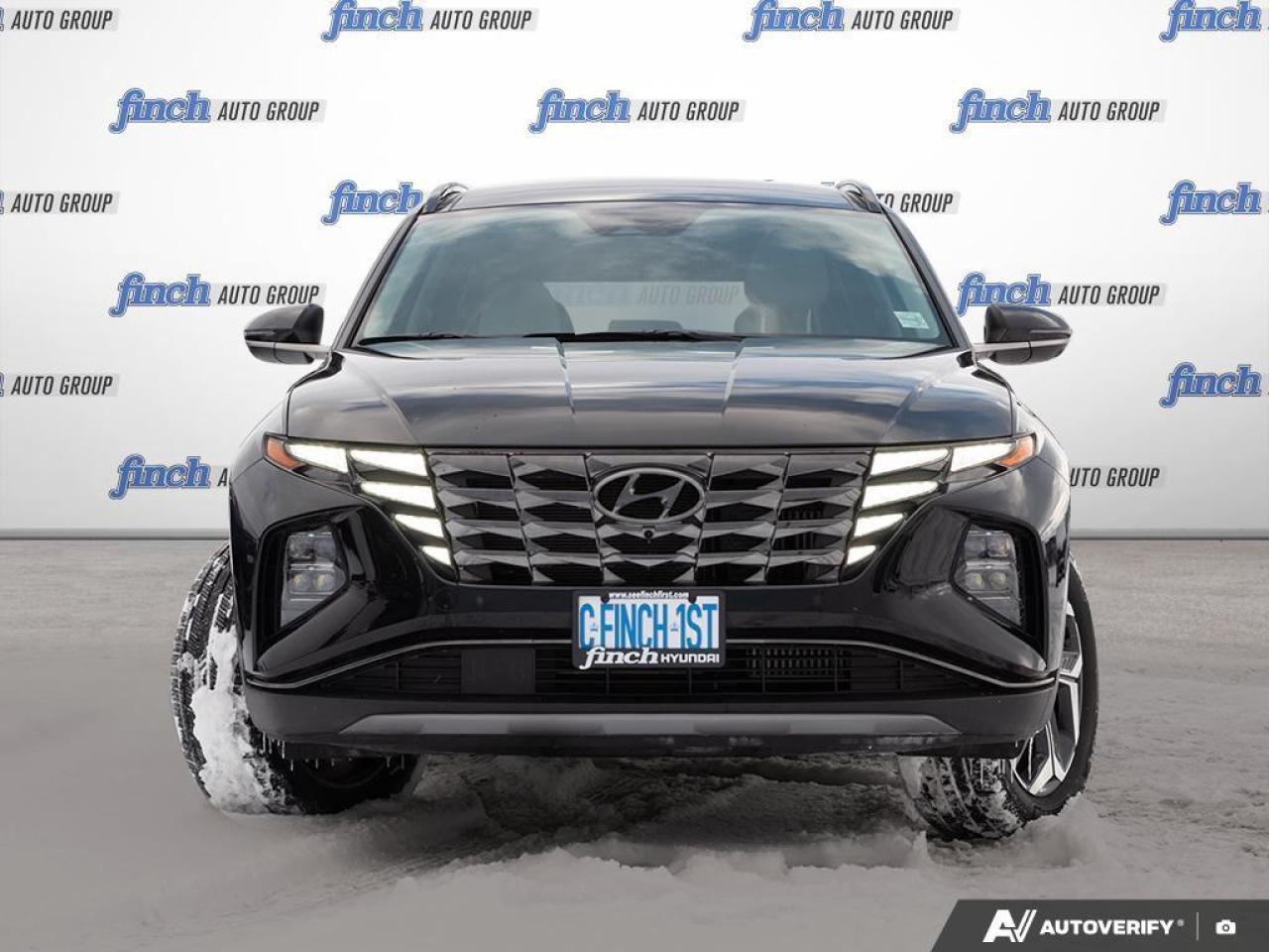 2024 Hyundai Tucson Hybrid Ultimate 4dr All-Wheel Drive Photo