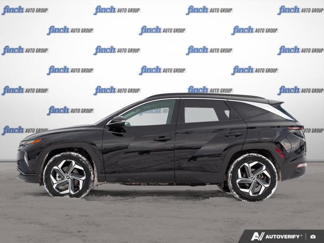 2024 Hyundai Tucson Hybrid Ultimate 4dr All-Wheel Drive Photo