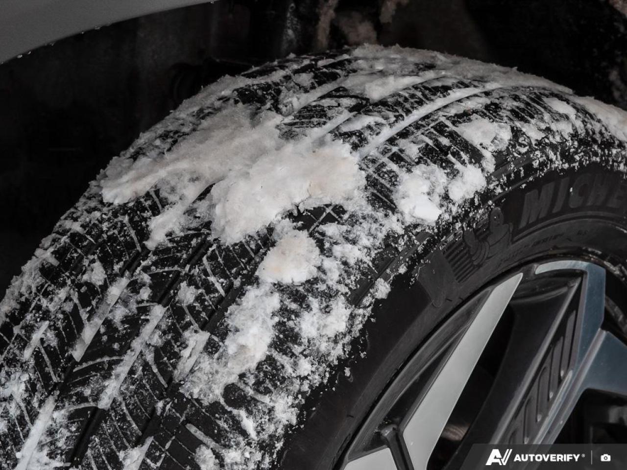 2024 Hyundai Tucson Hybrid Ultimate 4dr All-Wheel Drive Photo