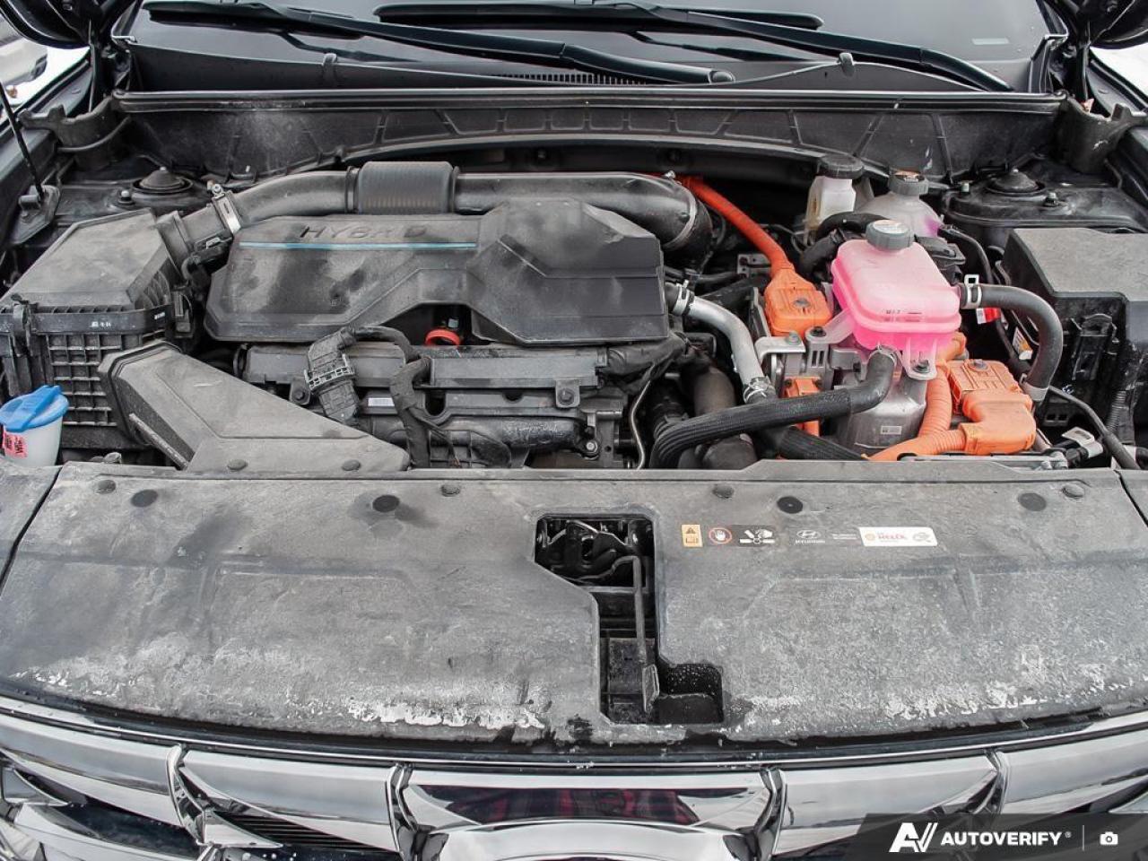 2024 Hyundai Tucson Hybrid Ultimate 4dr All-Wheel Drive Photo