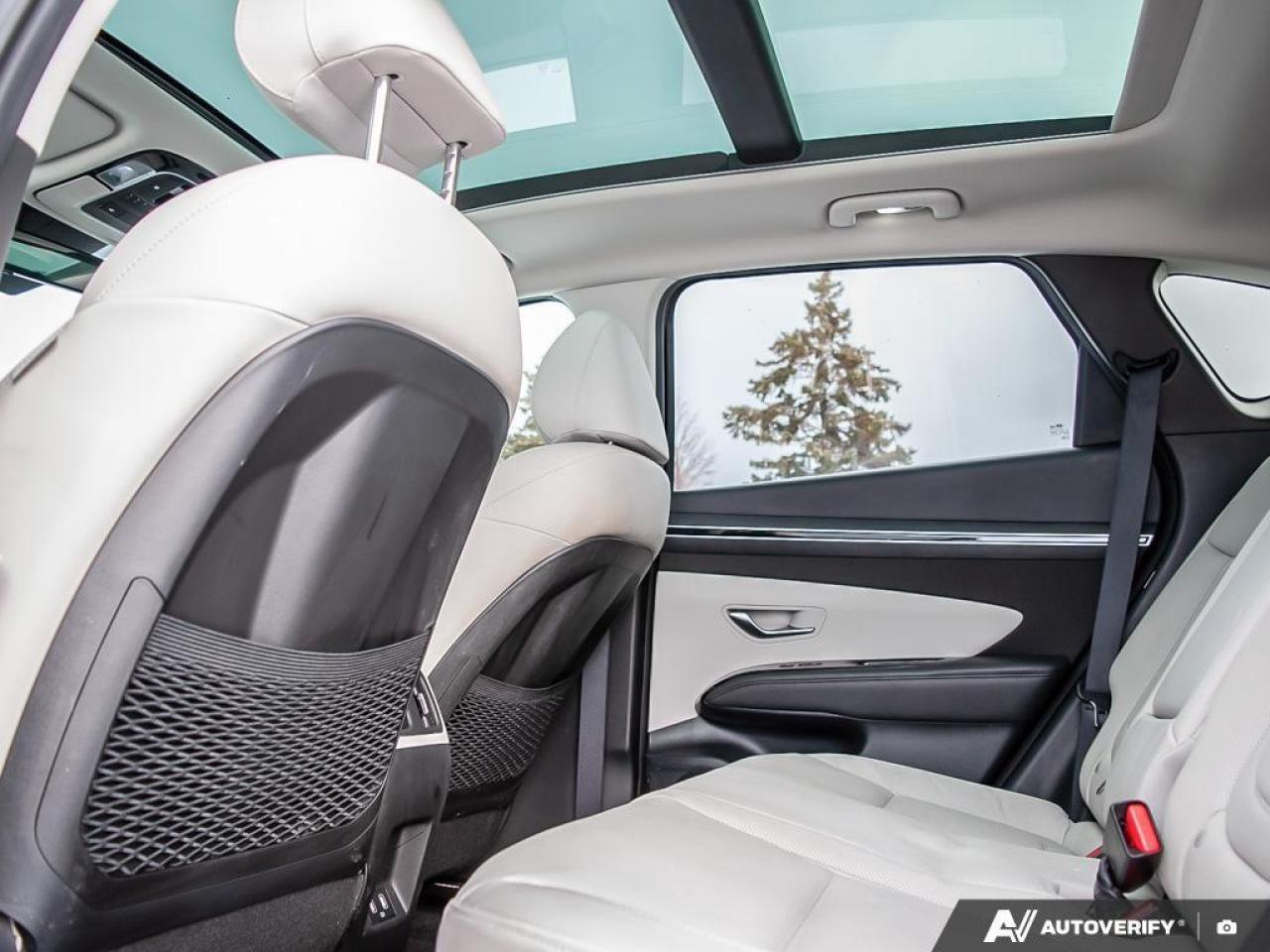 2024 Hyundai Tucson Hybrid Ultimate 4dr All-Wheel Drive Photo