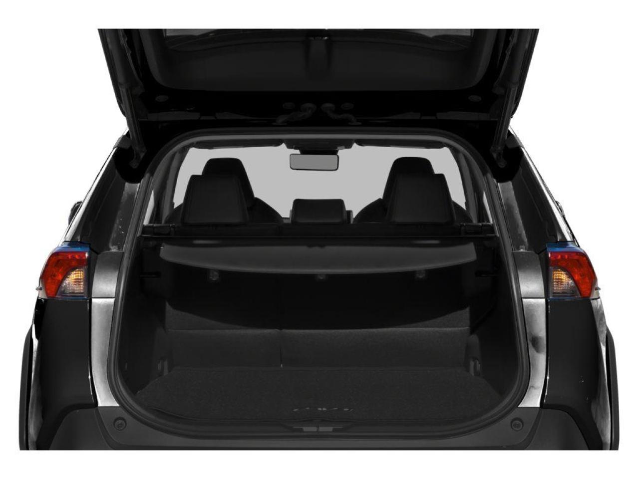 2021 Toyota RAV4 Trail 4dr All-Wheel Drive Photo