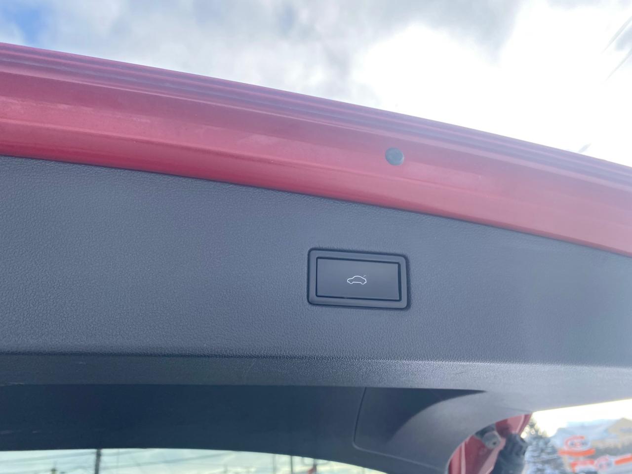 2019 Volkswagen Tiguan Comfortline 4dr All-wheel Drive 4MOTION Photo