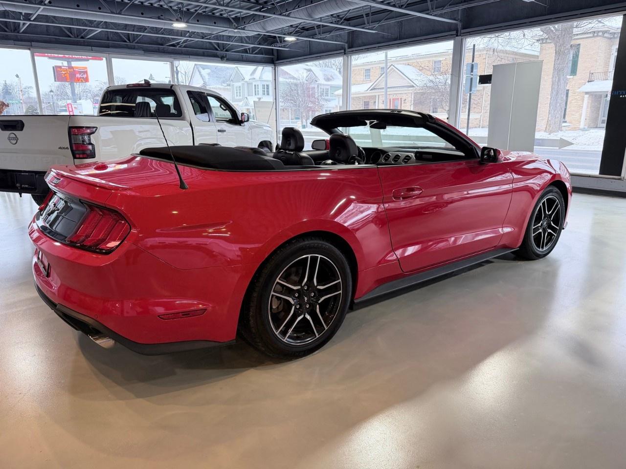 2023 Ford Mustang  Photo