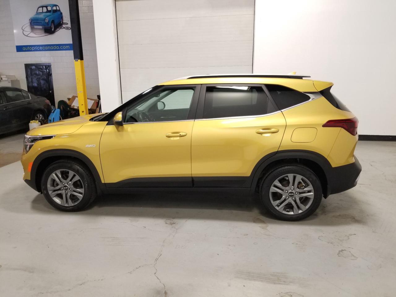 2021 Kia Seltos EX 4dr All-Wheel Drive Photo