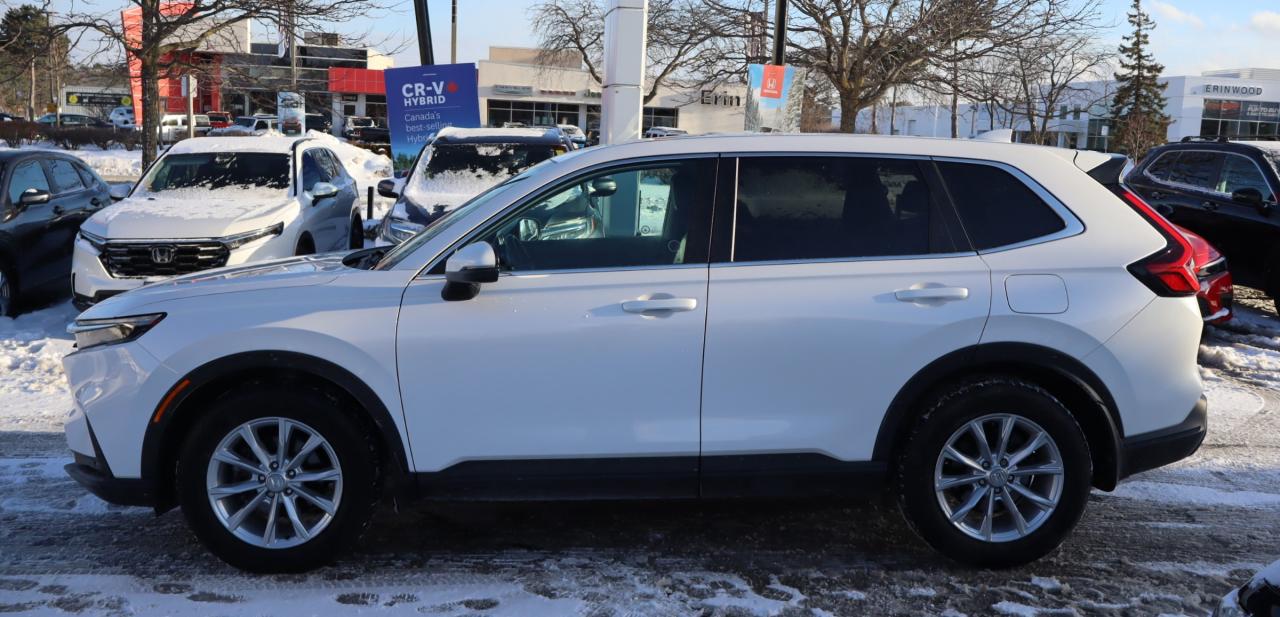 2024 Honda CR-V EX-L 4dr All-wheel Drive Photo